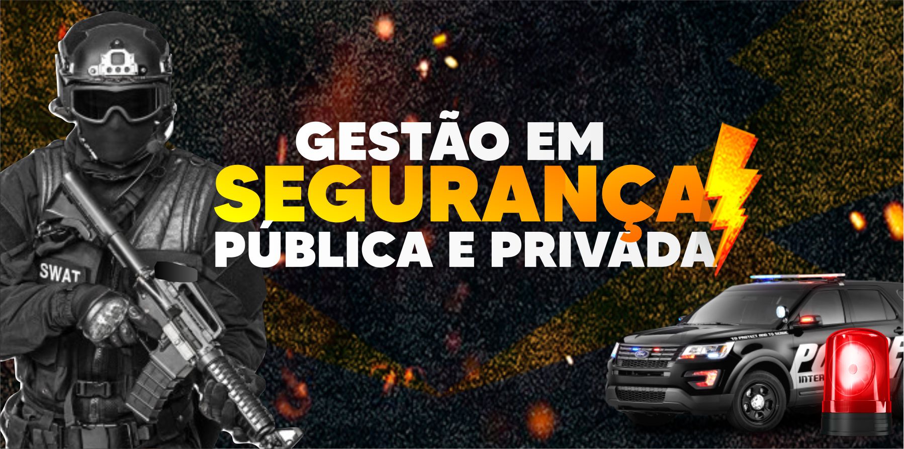 Gestão em Segurança Pública e Privada